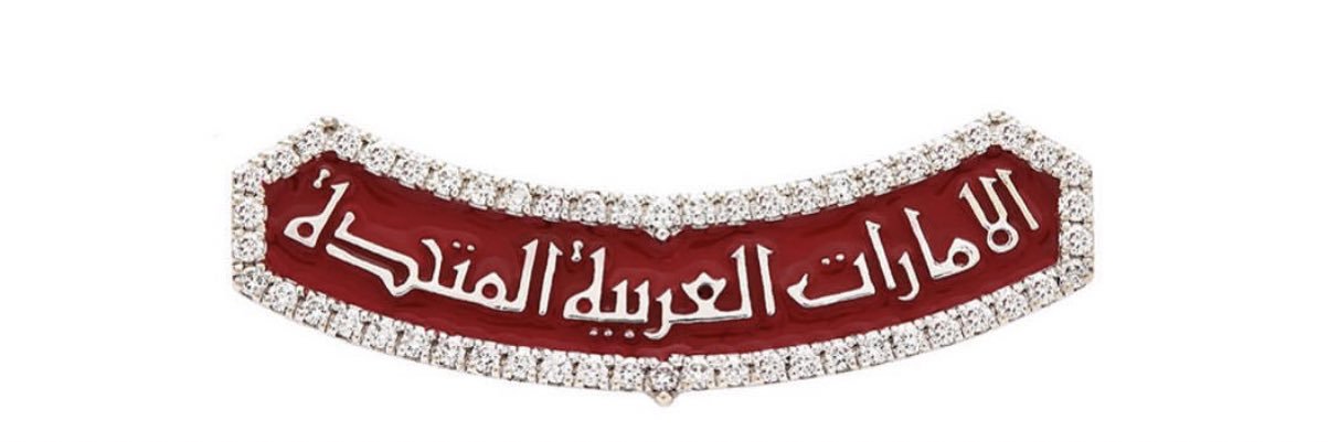 meerasm__'s profile banner image