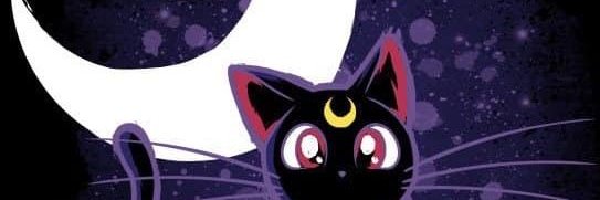 Sailor_Lizzie_ banner