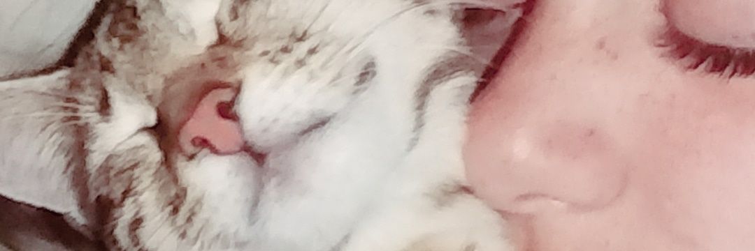 SabriSaez1's profile banner image