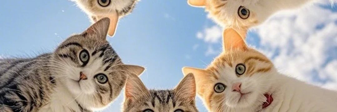 roiskamil's profile banner image