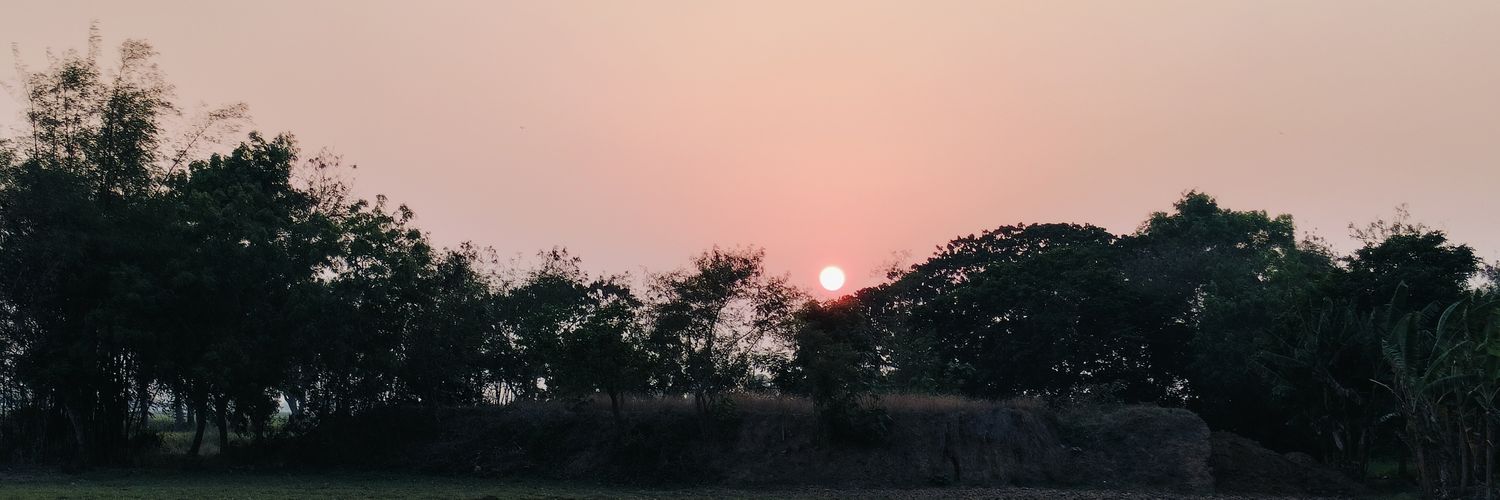 CuriousRanjan's profile banner image