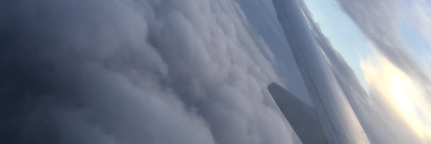 miscodee29's profile banner image