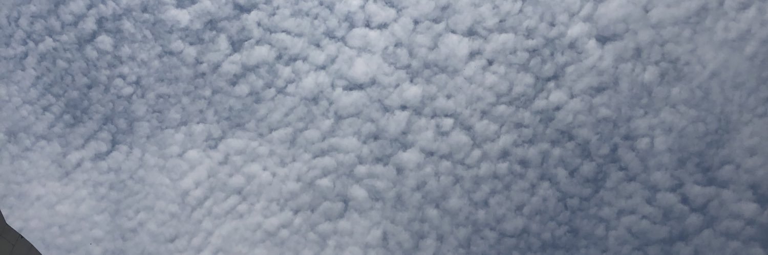 elpereque4's profile banner image