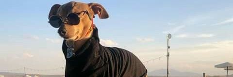 BmxVargas's profile banner image