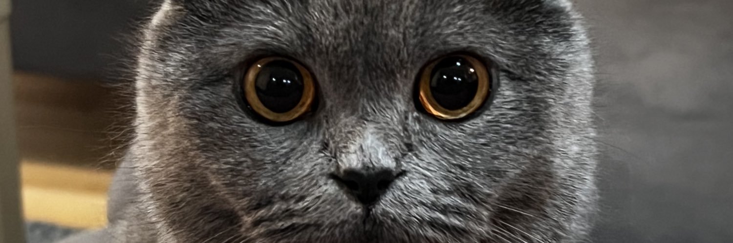 meryembsc's profile banner image