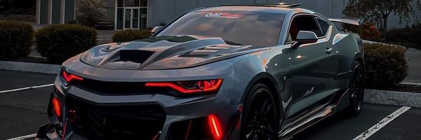 Torhile007 Profile Banner