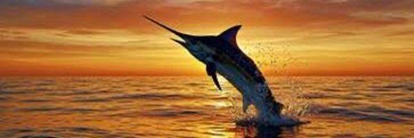 nostalgiafkninc Profile Banner