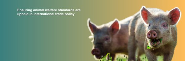 AnimalPolicyInt Profile Banner