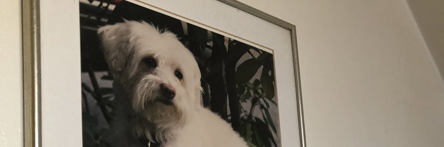 Oy Vey 🇮🇱 banner