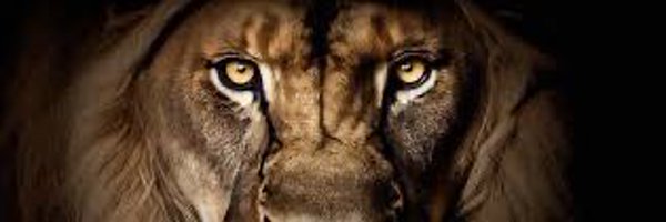 lukegaitherqb Profile Banner