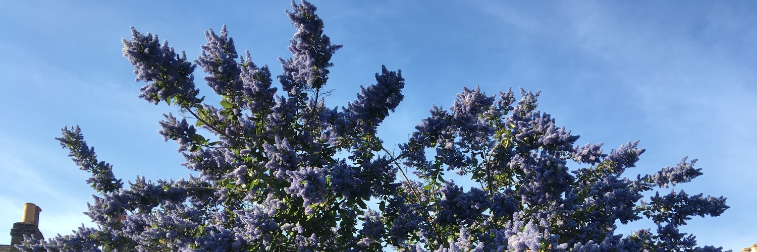 simonpickstone's profile banner image