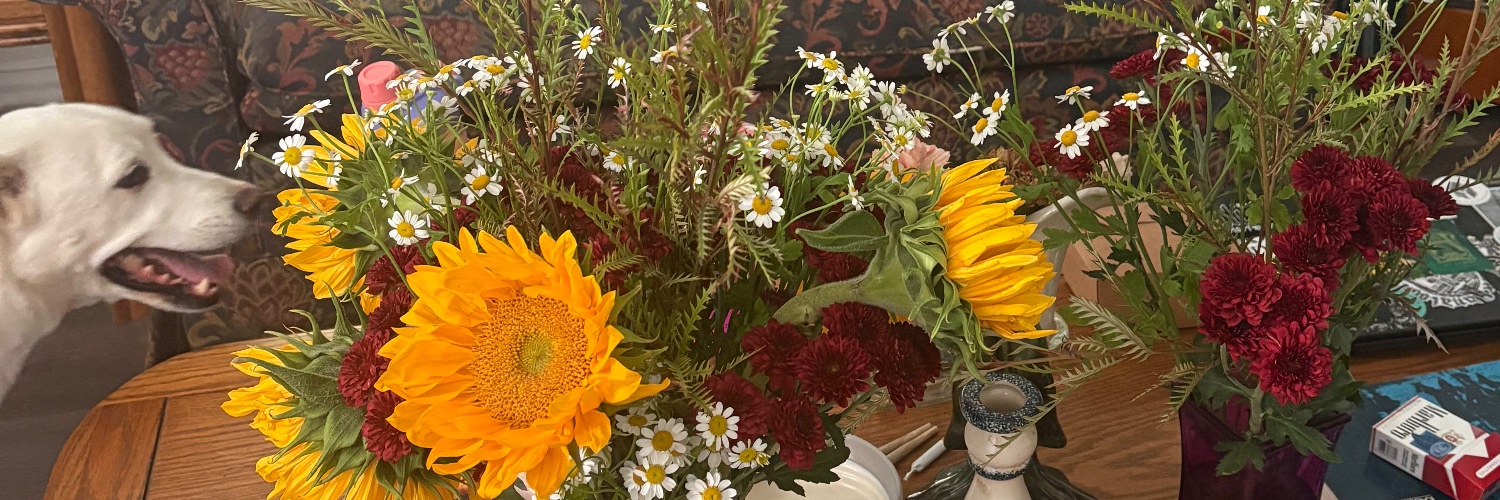 aphexcin's profile banner image