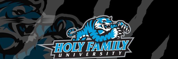 HFUBaseball Profile Banner