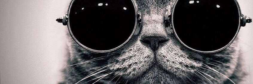 FranZaccarelli's profile banner image