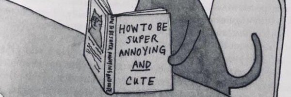 blueturtle77 Profile Banner