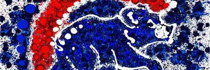 Y. banner