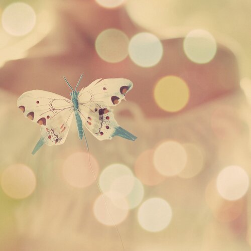 _bluestudio's profile banner image