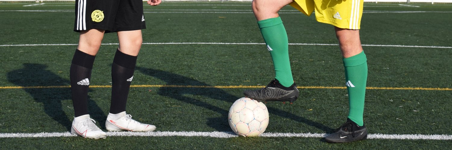 C.D.E. Villanueva del Pardillo banner