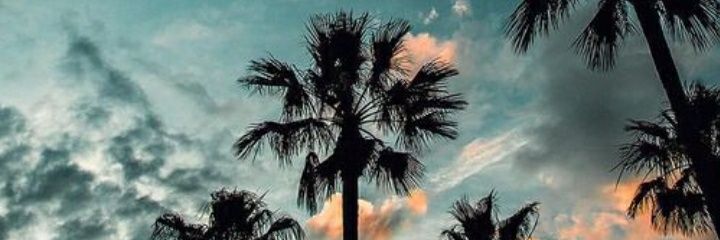 MaleeSavatteri's profile banner image