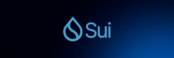SuiLatamdevs Profile Banner