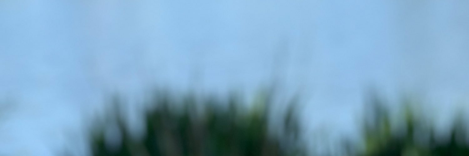 jaydimitriadis's profile banner image