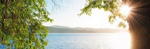 findyourtact's profile banner image