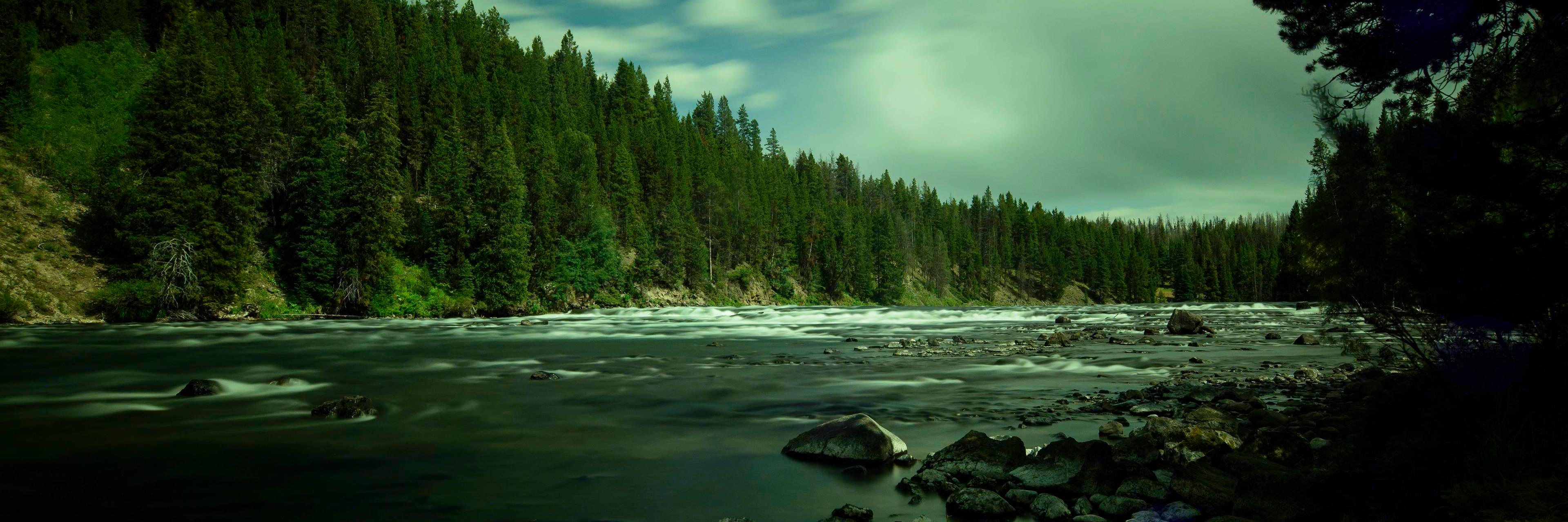 Gino Buzzelli banner