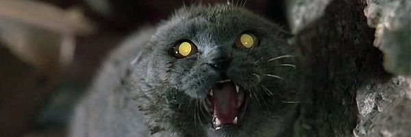 RyanBETX's profile banner image