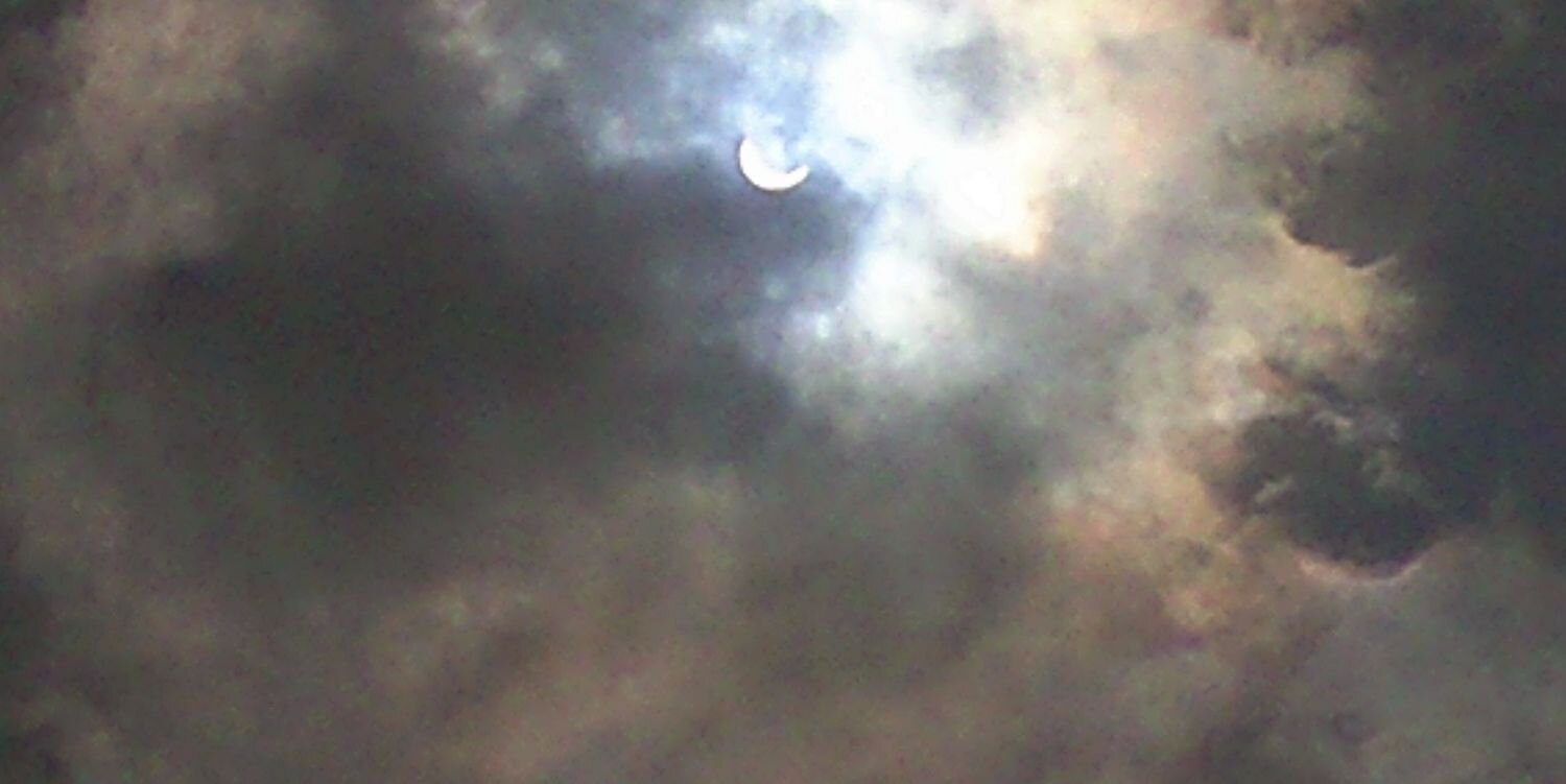 蘇芳@全力断捨離中 banner