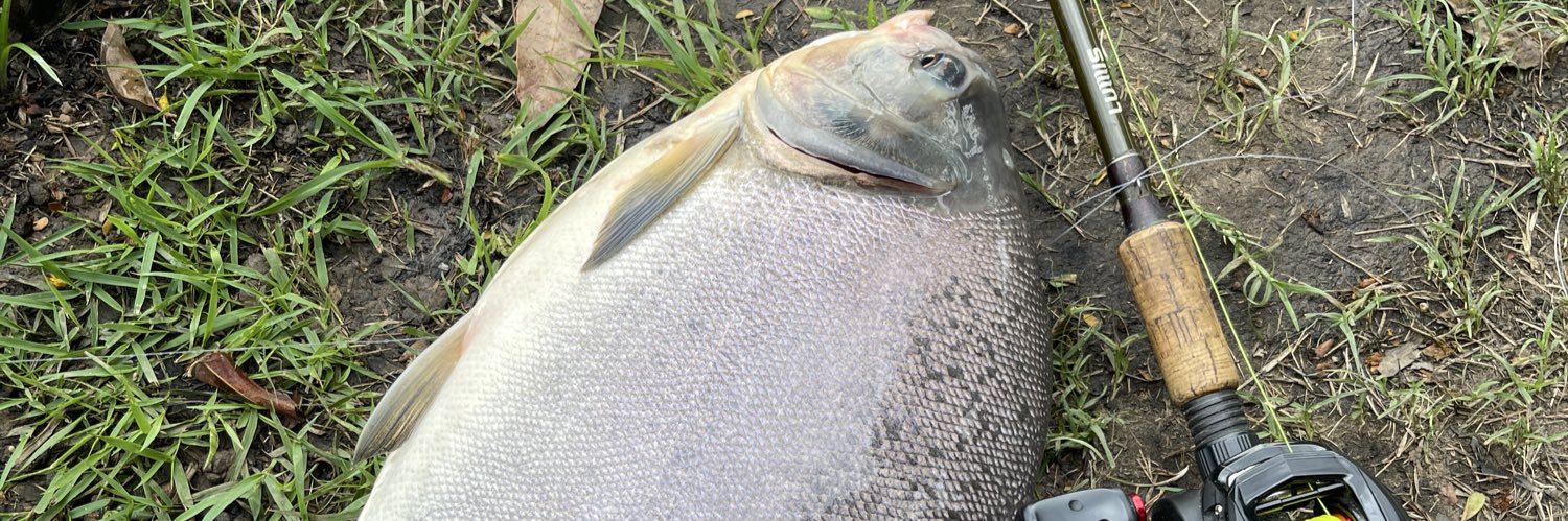 $ GAARA ⚡️ banner