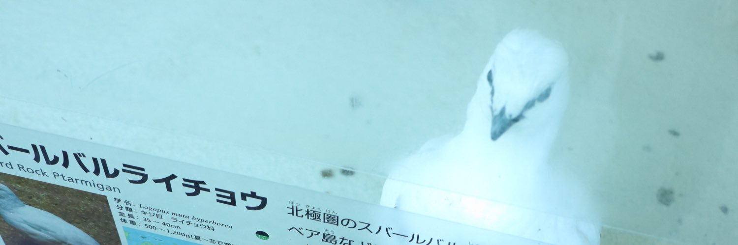 ykskr_'s profile banner image