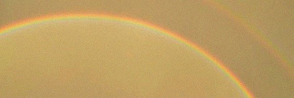 sophyoopsie Profile Banner