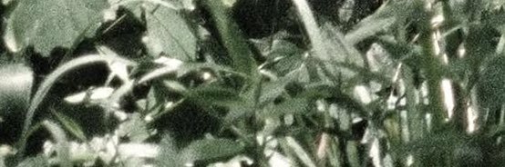 ohgo0dness's profile banner image