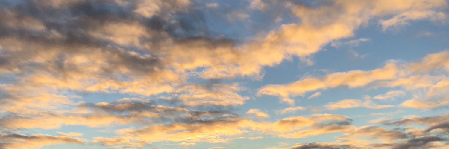 SyoBB's profile banner image