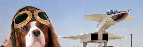 Miss Olivia's Flying Circus banner