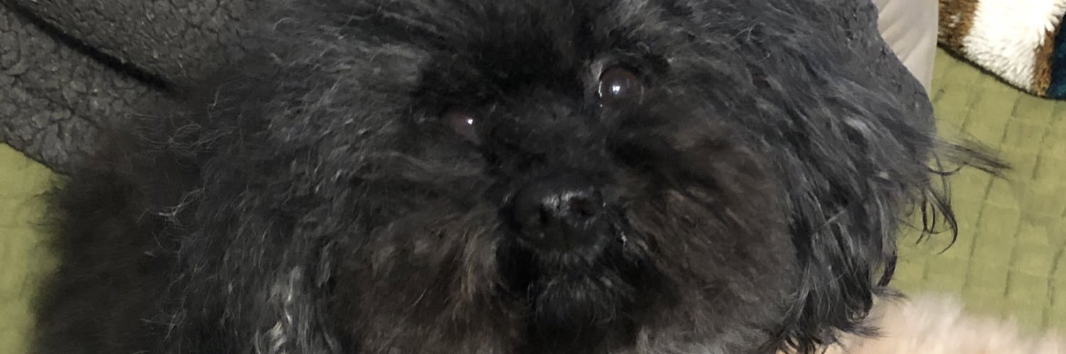 あゆみ banner