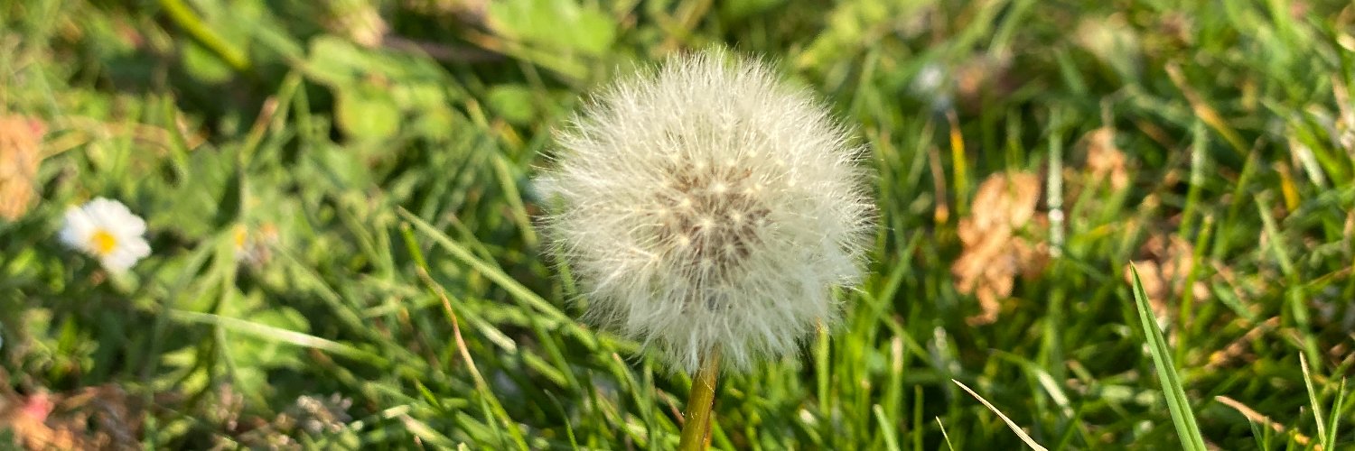 Subir Biswas | Techblogs's banner