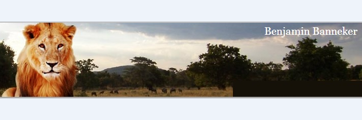 BBESLions's profile banner image