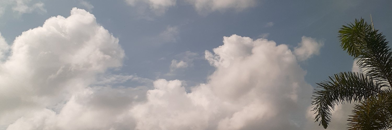 hanya_sharing's profile banner image