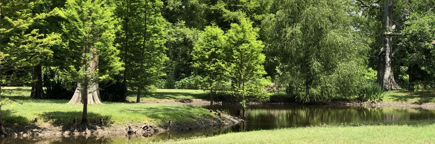 dexfontenot's profile banner image