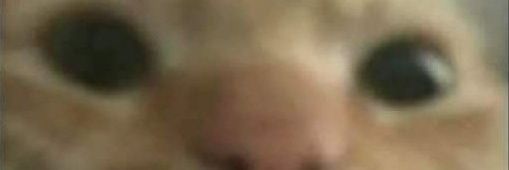 melancolinho 🧃 米提 banner