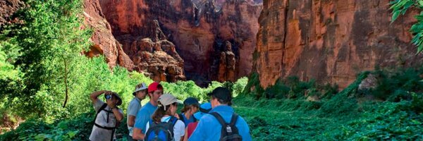 dantyre Profile Banner