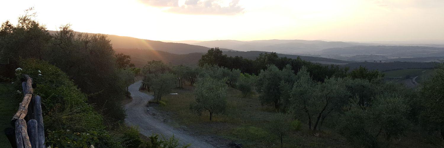 DarioPerazzini's profile banner image