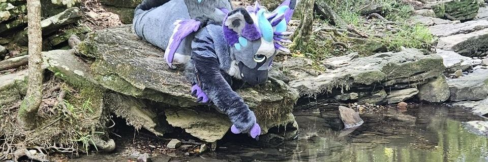 Dust the Dutchie 🔜 🧭 banner