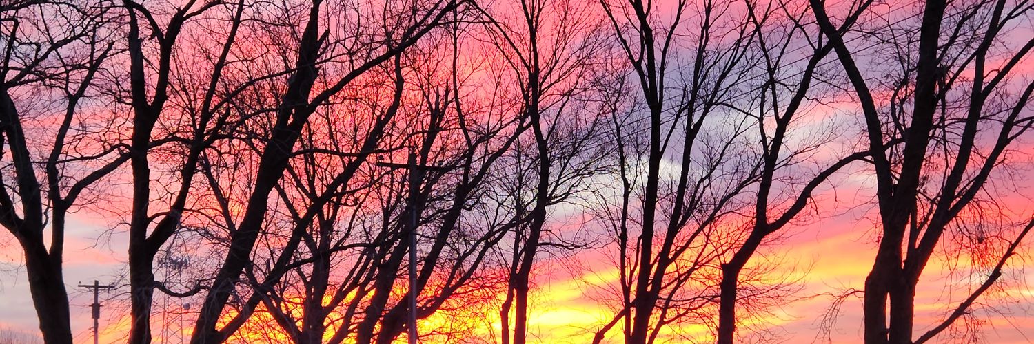 ltodd365's profile banner image