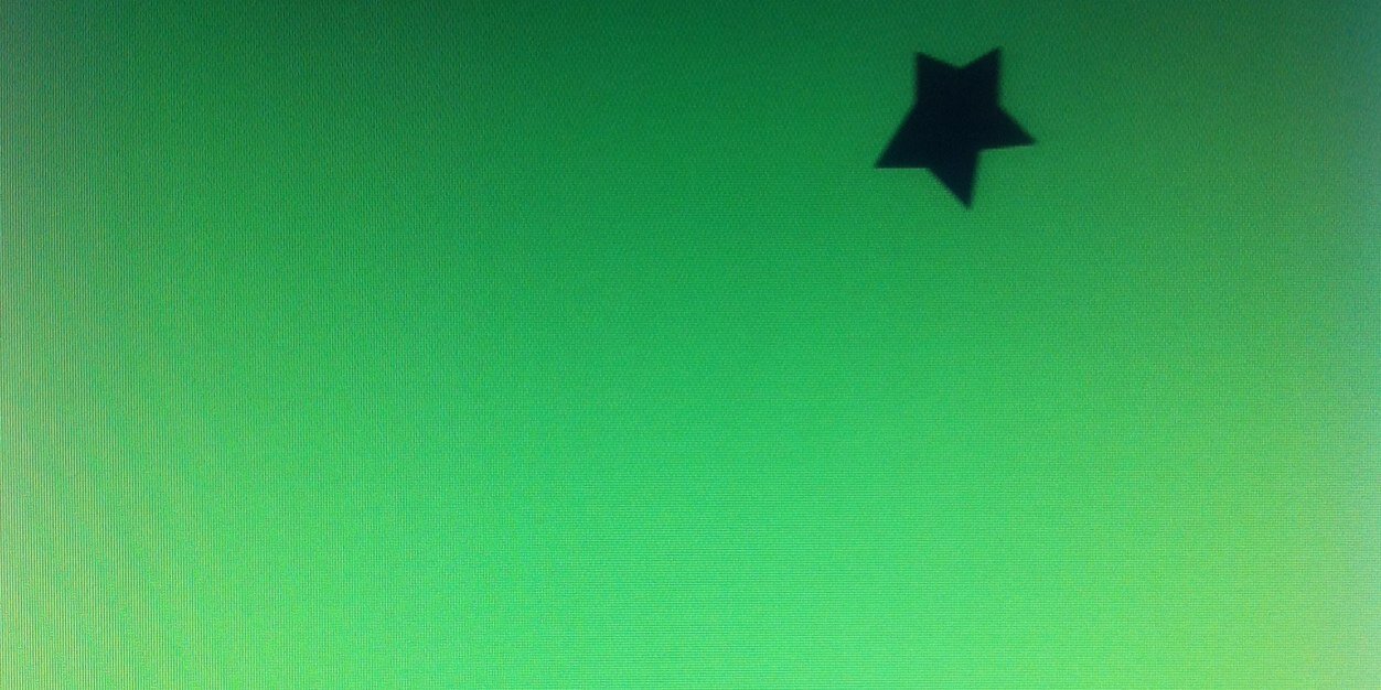 Paola Albert 💚💚💚💚 banner