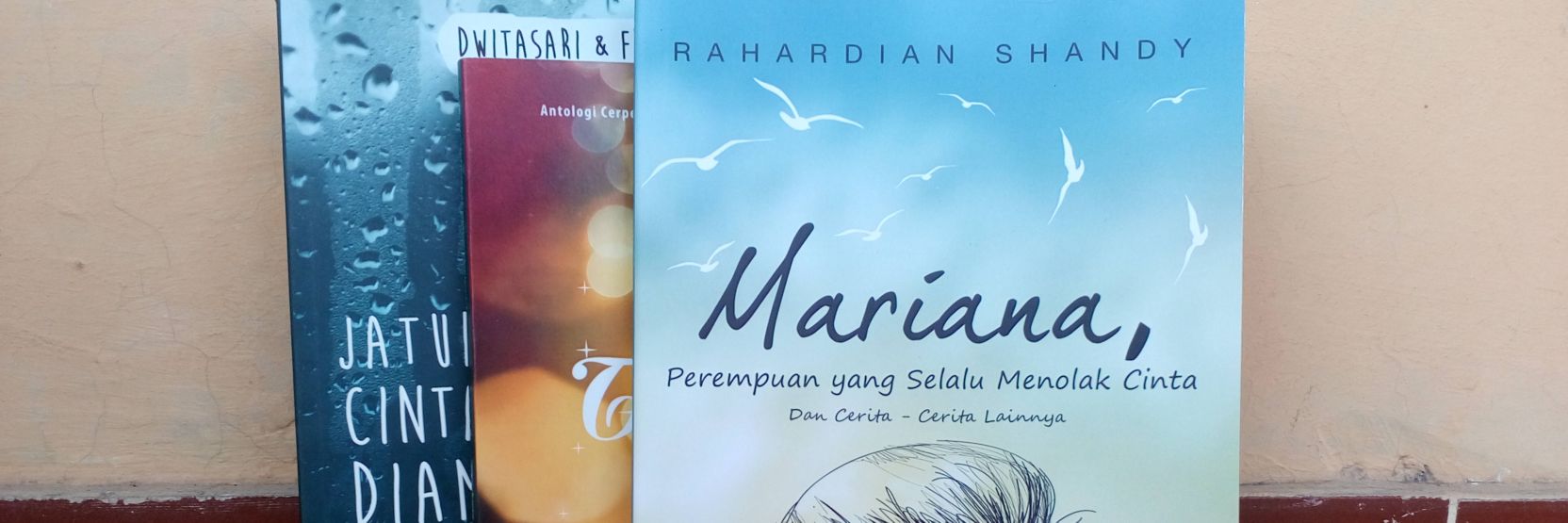 ShandyRahardian's profile banner image