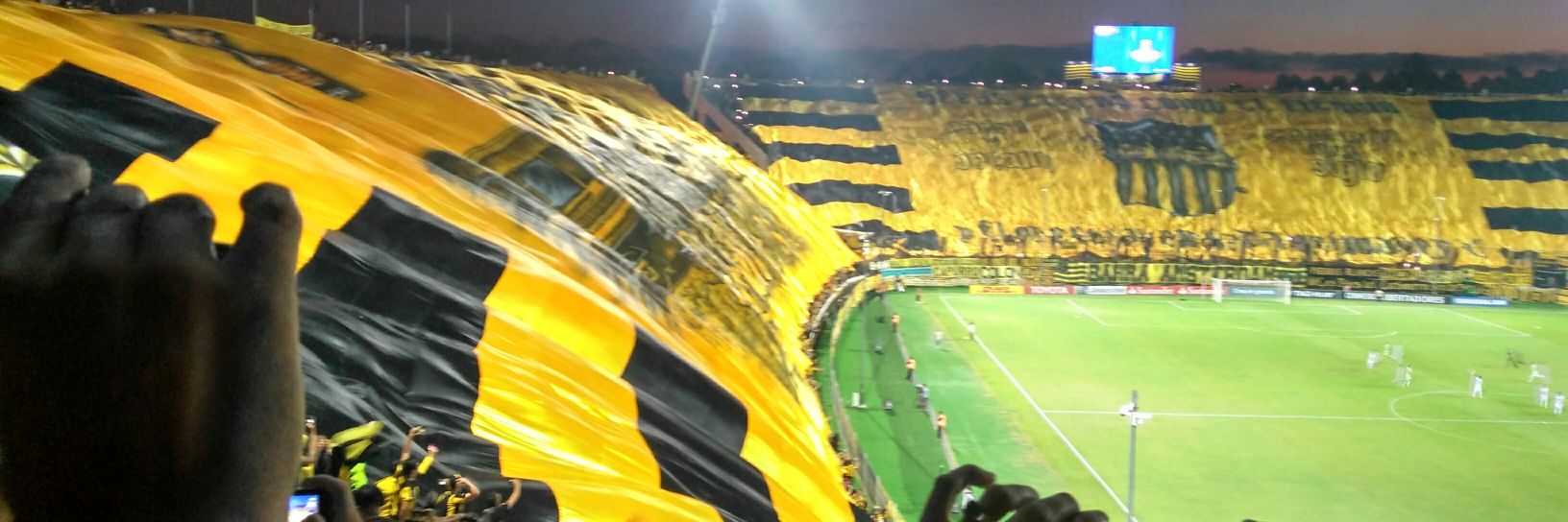 chelo1001's profile banner image