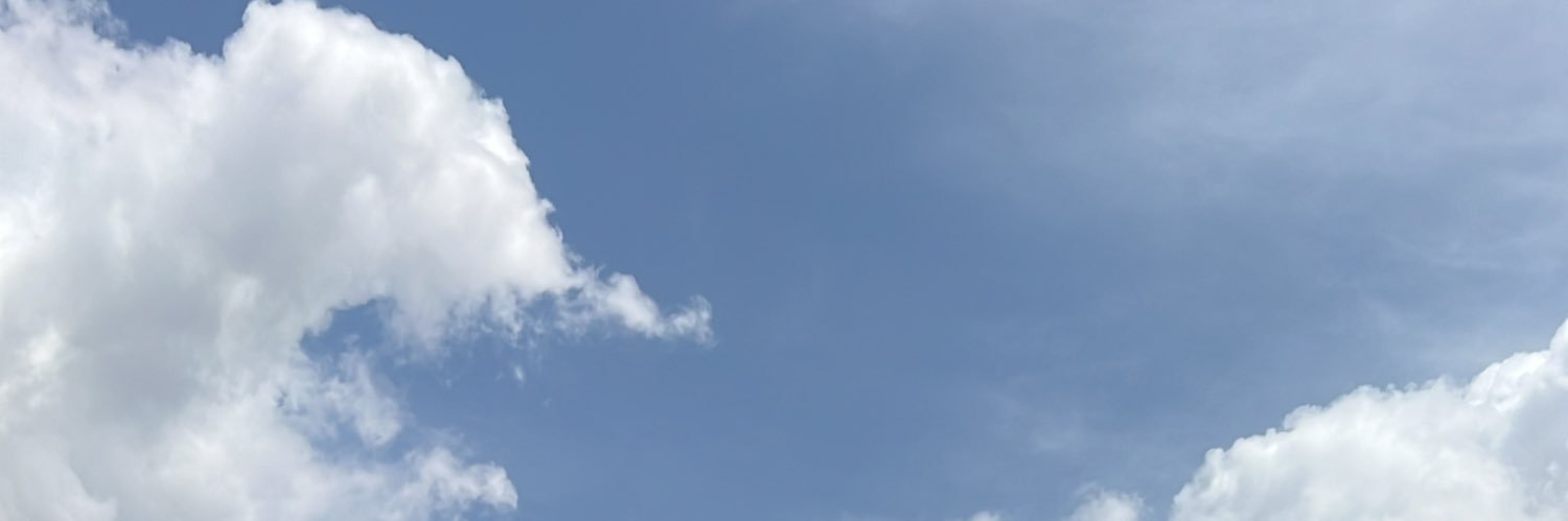 Dominic banner