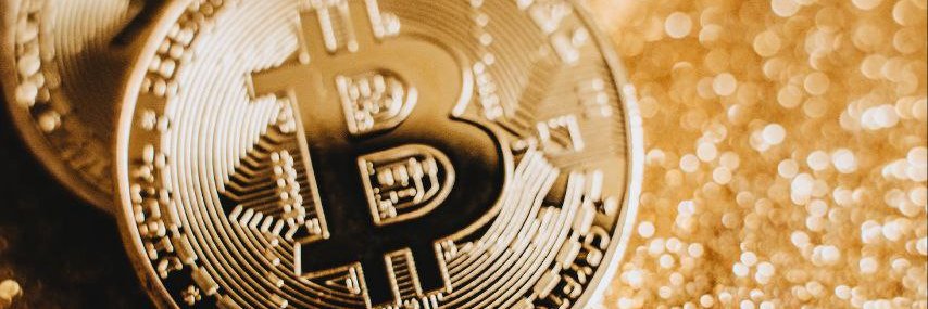 Crypto Pandit.ink banner